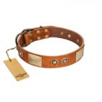 "Perfect Blend" FDT Artisan Tan Leather American Bulldog Collar 1 1/2 inch (40 mm) wide