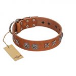 "Brave Spirit" Handmade FDT Artisan Designer Tan Leather American Bulldog Collar with Shields
