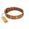 "Venus Breath" FDT Artisan Tan Leather American Bulldog Collar with Vintage Looking Oval and Round Studs