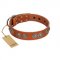 "Woofy Majesty" FDT Artisan Tan Leather American Bulldog Collar with Round Silver-like Plates