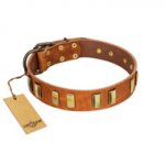 "Olive Slice" FDT Artisan Tan Leather American Bulldog Collar with Engraved and Smooth Plates
