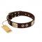 "Sense of Freedom" FDT Artisan Brown Leather American Bulldog Collar with Old Bronze-Plated Studs and Plates