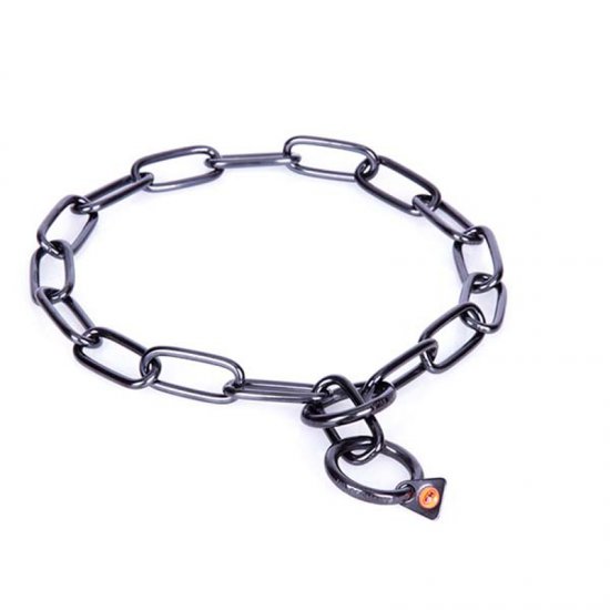 dog collar and chain