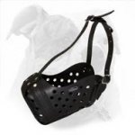 Extremely Comfortable Leather Muzzle for Agitation Training of Your American Bulldog