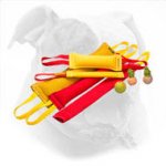 French Linen Dog Set for American Bulldog Training