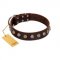 "Gape Buster" FDT Artisan Brown Leather American Bulldog Collar with One Row of Studs