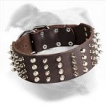 American Bulldog Leather Collar with Spikes and Studs