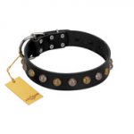 "Inky Prettification" FDT Artisan Black Leather American Bulldog Collar with One Row of Studs
