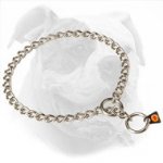 Herm Sprenger Choke Dog Collar for American Bulldog