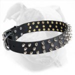 Designer Leather American Bulldog Collar with Spikes for Fashionable Walking