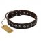 "Stars of Glory" FDT Artisan Brown Leather American Bulldog Collar for Comfortable Walking