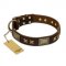 "Sparkling Bronze" FDT Artisan Genuine Leather American Bulldog Collar with Bronze Look Stars and Plates