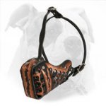 "Magma" Leather Dog Muzzle for American Bulldog