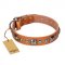 "Era of Future" FDT Artisan Handcrafted Tan Leather American Bulldog Collar with Decorations