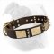 War-Style Leather Dog Collar with Brass Plates and Nickel Spikes for American Bulldog