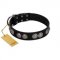 "Magic Amulete" Handcrafted FDT Artisan Black Leather American Bulldog Collar with Chrome-Plated Shields