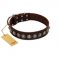 "Gothic Style" FDT Artisan Fancy Brown Leather American Bulldog Collar with Silver-Like Decorations