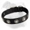 Water Friendly Nylon Dog Collar with Silvery Conchos - Best Daily Gear for American Bulldog