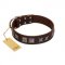 "Needle Stories" Modern FDT Artisan Brown Leather American Bulldog Collar with Square Engraved Plates and Four-Point Stars