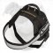 Universal Nylon Dog Harness for American Bulldog