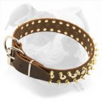 Spiked & Studded Leather American Bulldog Collar for Dailly Walking