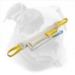 Fire Hose Set of Bite Tugs for American Bulldog Training