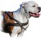 Tracking/Pulling Leather Dog Harness For American Bulldog