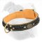 Adjustable American Bulldog Collar Made of Leather