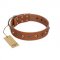 "Silver Age" Fashionable FDT Artisan Tan Leather American Bulldog Collar with Silver-Like Studs