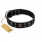 "Black Jack" Stylish Handmade FDT Artisan Black Leather American Bulldog Collar