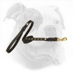 Multi Purpose Leather American Bulldog Leash with 6 Half Ball Studs