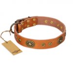 "Dandy Pet" FDT Artisan Handcrafted Tan Leather American Bulldog Collar