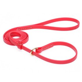 Durable Red Biothane American Bulldog Leash and Collar Combo