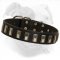 Luxurious Daily Walking and Training Collar for American Bulldog