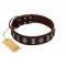 "Spiky Way" FDT Artisan Brown Leather American Bulldog Collar with Silver-Like Decorations