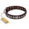 "Pierian spring" FDT Artisan Brown Leather American Bulldog Collar with Silvery Decorations