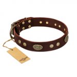 "Old-fashioned Glamor" FDT Artisan Brown Leather American Bulldog Collar with Old Bronze Look Plates and Circles