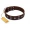 "Skull Valley" Handcrafted FDT Artisan Brown Leather American Bulldog Collar with Skulls