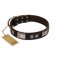 "Satin Beauts" FDT Artisan Brown Leather American Bulldog Collar with Stars and Plates
