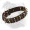Fantastic Leather Collar with Spikes and Studs for American Bulldog