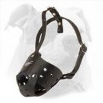 Strong, Safe and Maximally Comfortable Every Day Leather Muzzle for American Bulldog