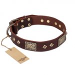 "Loving Owner" FDT Artisan Decorated Leather American Bulldog Collar with Plates and Studs
