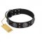 "Boundless Blue" FDT Artisan Black Leather American Bulldog Collar with Chrome Plated Brooches and Square Studs