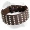 Fashionable Wide Leather Dog Collar for American Bulldog