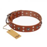 "Silver Elegance" FDT Artisan Decorated Leather American Bulldog Collar with Old Silver-Like Plated Studs and Cones