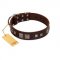 "Object of Virtu" FDT Artisan Brown Leather American Bulldog Collar with Old Silver-like Square Studs and Pyramids