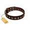 "Street Fashion" FDT Artisan Brown Leather American Bulldog Collar Adorned with Circles and Skulls