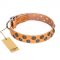 "Precious Sparkle" FDT Artisan Tan Leather American Bulldog Collar