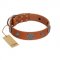 "Foxy Nature" FDT Artisan Tan Leather American Bulldog Collar with Chrome Plated Brooches
