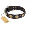 "Fancy-Schmancy" FDT Artisan Studded Leather American Bulldog Collar